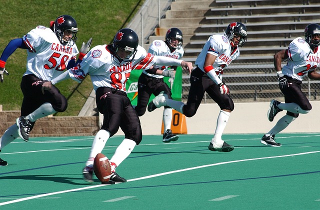 展示了其对 展示了其对