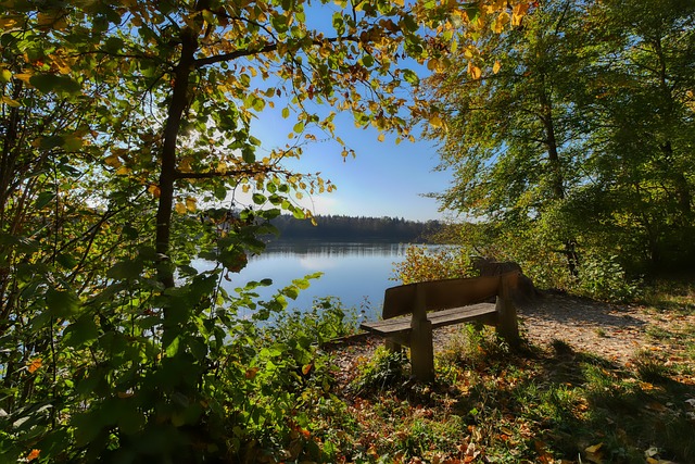 波蒂斯的致 波蒂斯的致